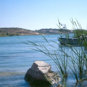 Art et histoire de l'Orient ancien